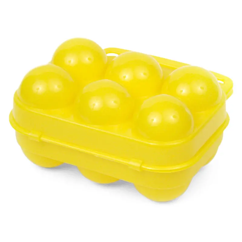 6-Compartment Egg Carrier