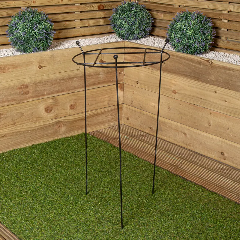 80cm x 45cm Heavy-Duty Black Metal Herb Support Frame – Grow-Through Style