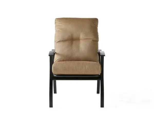 Albany Dining Arm Chair Cushion Replacement