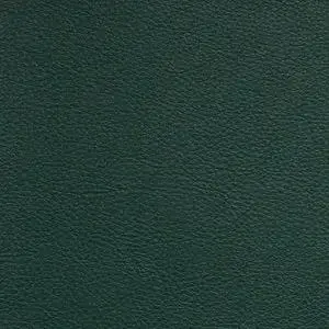 Aura 54-Inch Retreat Collection in Spruce Forest