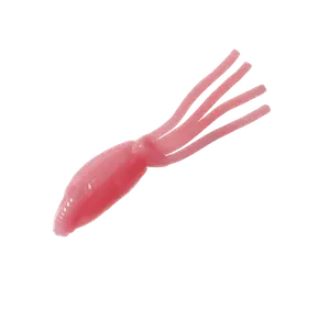 Clam Mino Head with Maki Plastic Body – Ice Fishing Combo