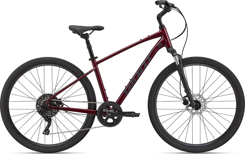 Comfort-Oriented Bicycle Rental