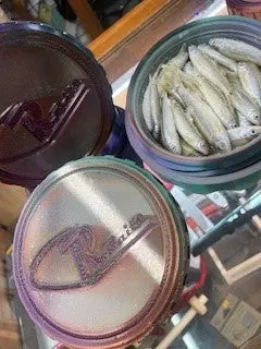 CR Baits Bait Pucks – Concentrated Fish Attractant Tablets