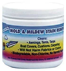 Dual-Action Mold and Mildew Stain Remover