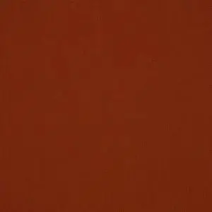 Elements 54-Inch Henna Canvas Fabric
