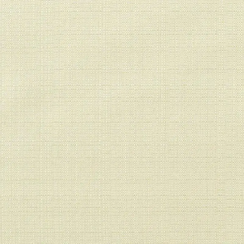 Elements 54-Inch Linen Canvas Fabric