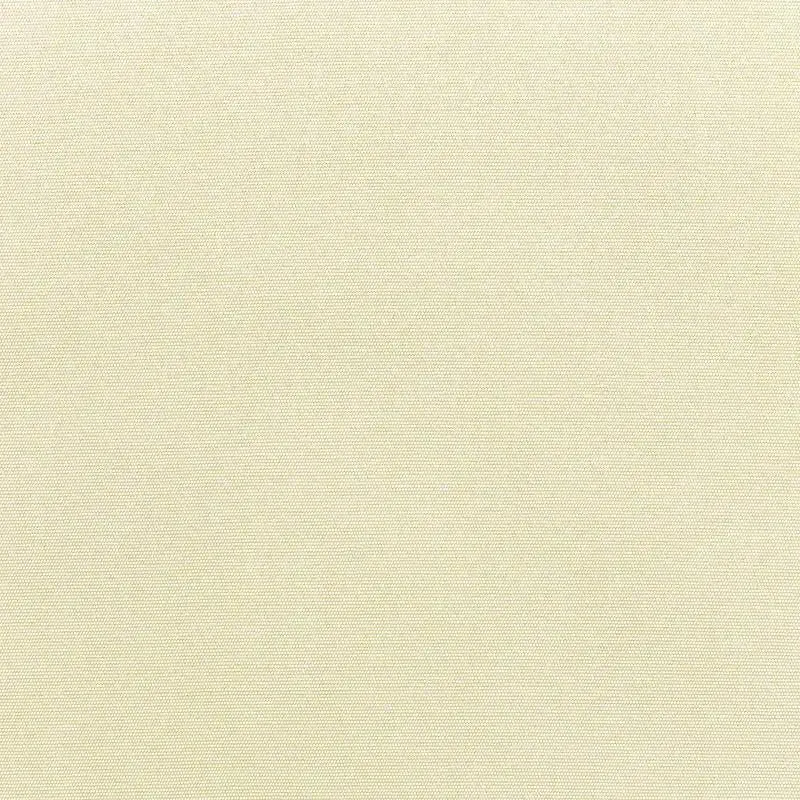 Elements 54-Inch Natural Canvas Fabric