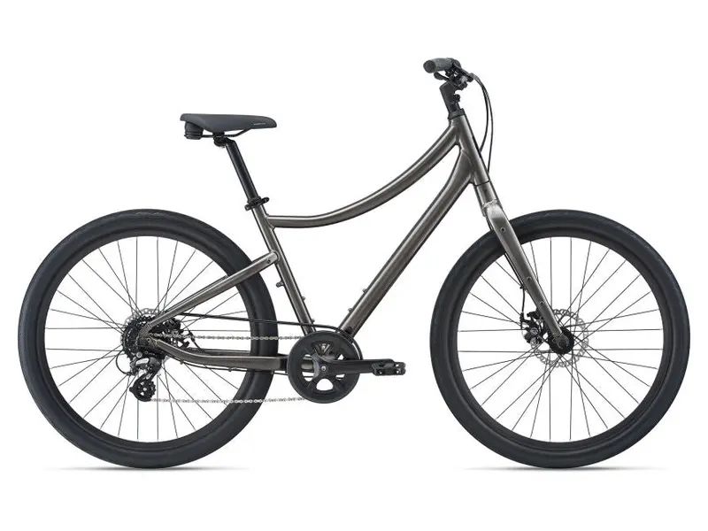 Giant Momentum Vida Demo Bike