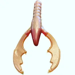 Hitch and Fish Natural Red Craw Soft Plastic Bait