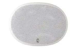 Platinum Oval Marine Speakers – UV-Resistant, Saltwater-Proof Design