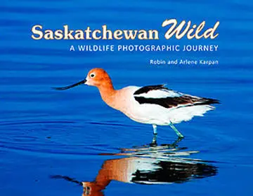 Saskatchewan Wild – Nature Photography & Adventure Guide
