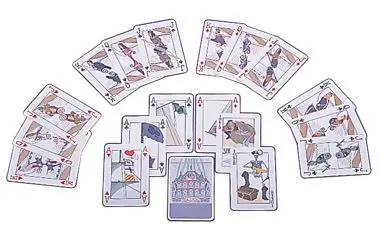 Waterproof Playing Cards for Wet or Outdoor Environments